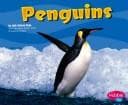 Tapa de Penguins
