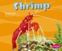 Tapa de Shrimp