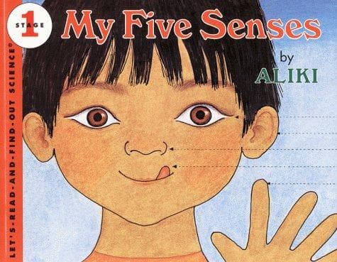 Tapa de My Five Senses