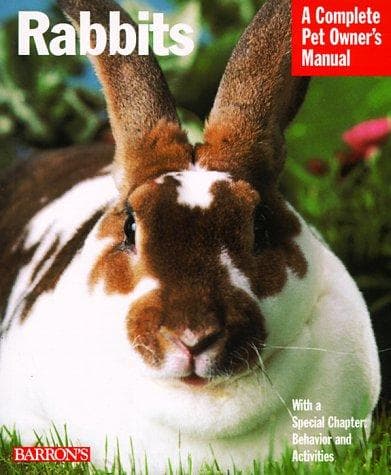 Tapa de Rabbits