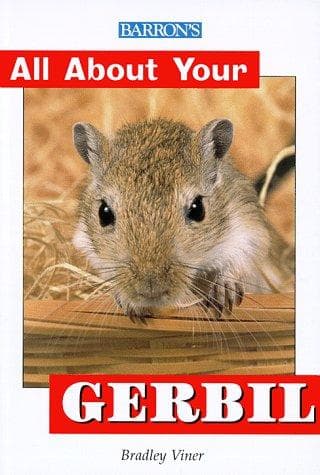 Tapa de All About Your Gerbil
