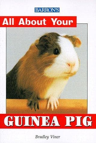 Tapa de Guinea pig