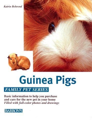 Tapa de Guinea Pig, The