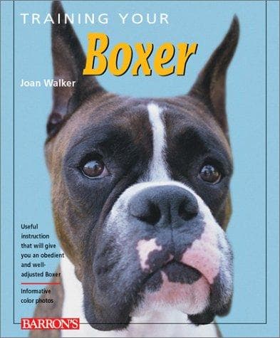 Tapa de Training Your Boxer