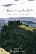 Tapa de A Moment in the Field