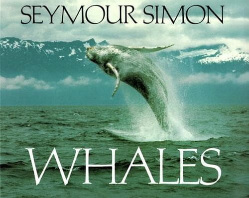 Tapa de Whales