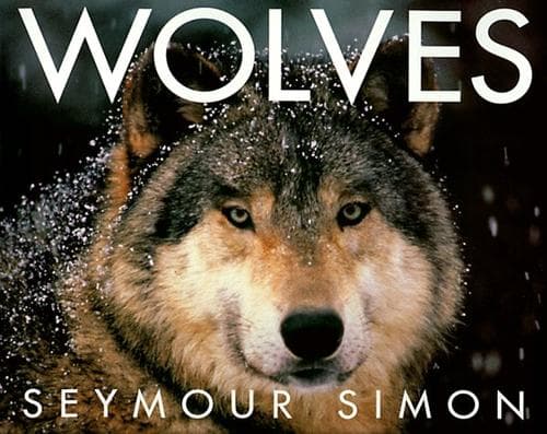 Tapa de Wolves