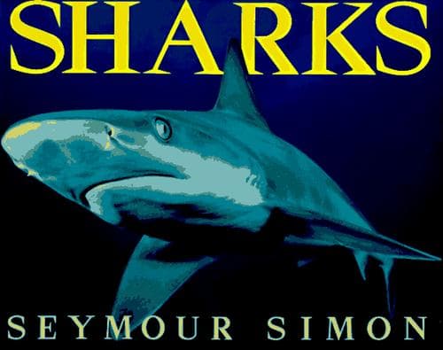 Tapa de Sharks