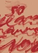 Tapa de Cy Twombly