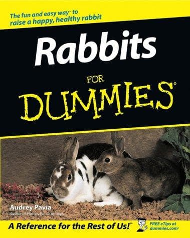 Tapa de Rabbits for Dummies