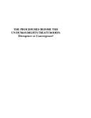 Tapa de The Procedures Before the UN Human Rights Treaty Bodies