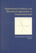 Tapa de Experimental Evidence & Theoretical Appr