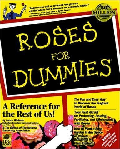 Tapa de Roses for dummies