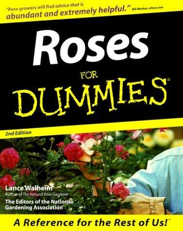 Tapa de Roses for dummies
