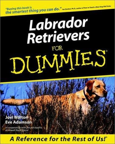 Tapa de Labrador Retrievers for Dummies