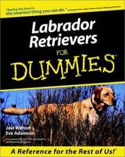 Tapa de Labrador Retrievers for Dummies