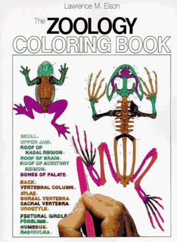 Tapa de Zoology Coloring Book
