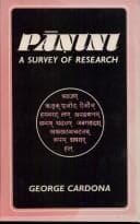 Tapa de Panini (A Survey of Research)