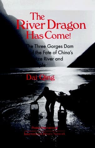 Tapa de The River Dragon Has Come!