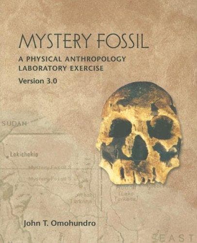Tapa de Mystery Fossil