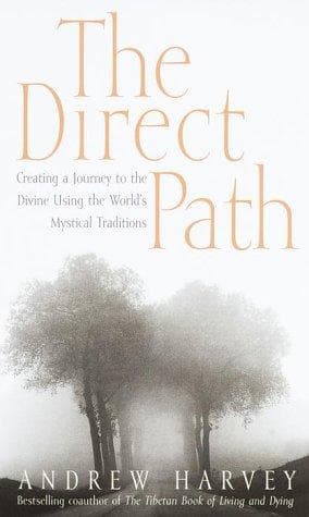 Tapa de The Direct Path
