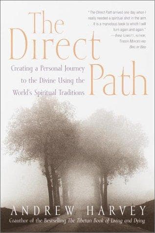 Tapa de The Direct Path