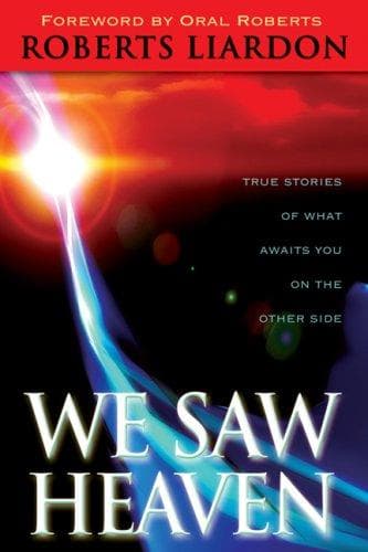 Tapa de We Saw Heaven