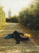 Tapa de Bas Jan Ader