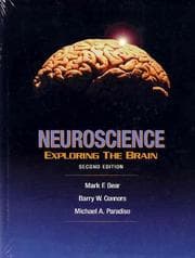 Tapa de Neuroscience