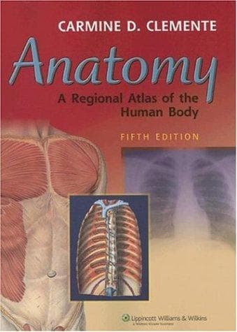 Tapa de Anatomy
