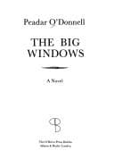 Tapa de The big windows