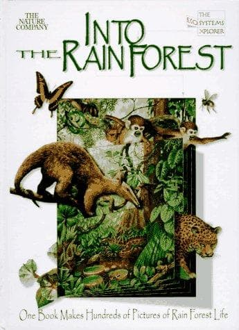 Tapa de Into the rainforest