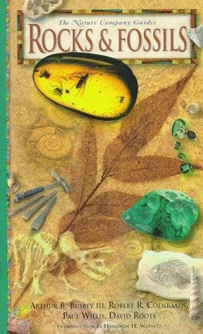 Tapa de Rocks & fossils