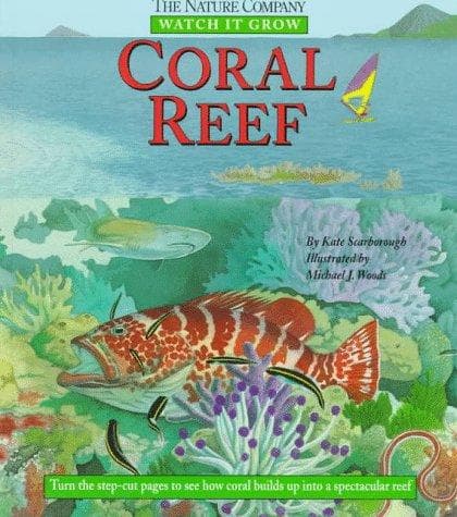 Tapa de Coral reef