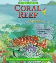 Tapa de Coral reef