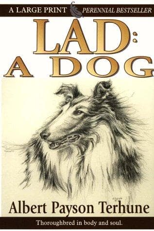 Tapa de Lad, a dog