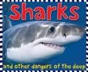 Tapa de Sharks