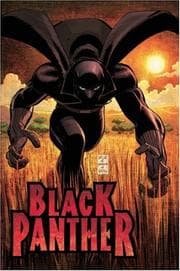 Tapa de Who Is the Black Panther