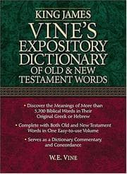 Tapa de Expository dictionary of Old and New Testament words