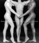Tapa de Robert Mapplethorpe and the classical tradition