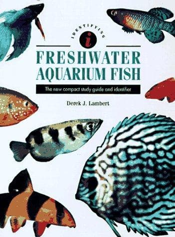 Tapa de Freshwater Aquarium Fish