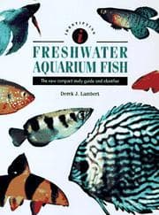 Tapa de Freshwater Aquarium Fish