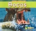Tapa de Bocas/Mouths (Encuentra Las Diferencias/Spot the Difference)