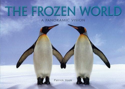 Tapa de The Frozen World