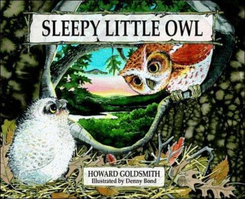 Tapa de Sleepy little owl