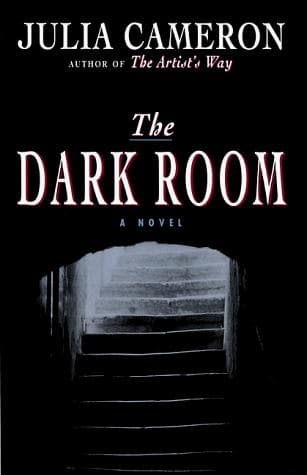 Tapa de The dark room