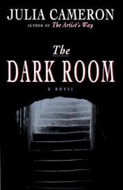 Tapa de The dark room