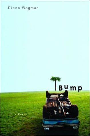 Tapa de Bump