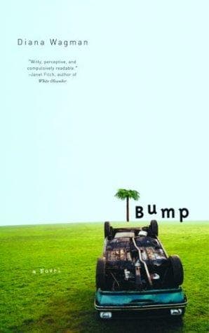 Tapa de Bump