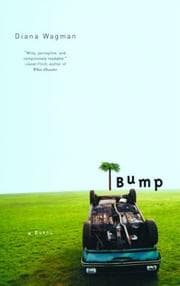 Tapa de Bump